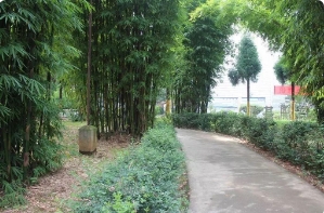 昆明市交通技工学校的升学渠道有哪些？