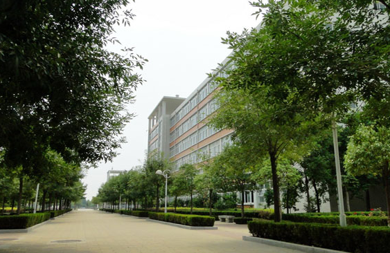 曲靖市马龙职业技术学校乱吗?