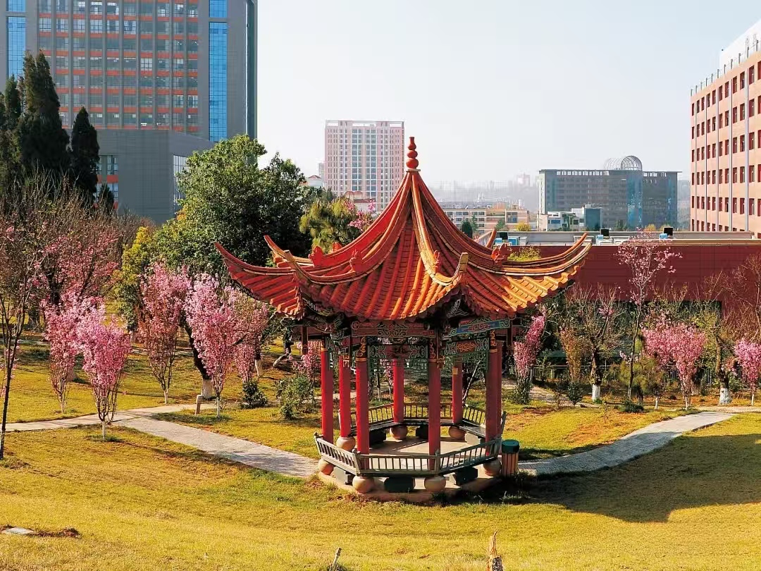 择时启航逐梦交通&mdash;&mdash;云南交通技师学院2026报名与开学时间详解