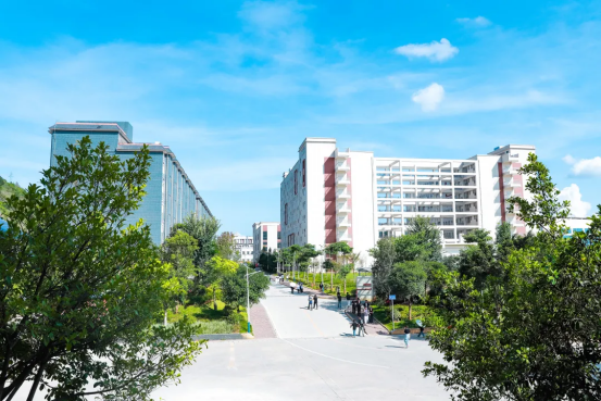 逐梦三鑫，启航未来&mdash;&mdash;云南三鑫职业技术学院2026欢迎您！