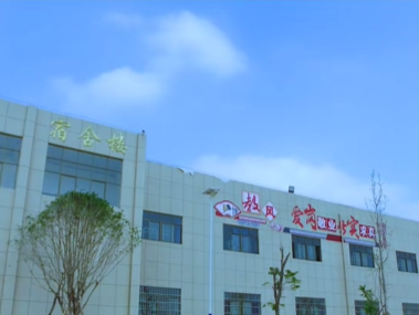 曲靖靖宁职业技术学校好就业吗？高就业率与精准就业通道揭秘