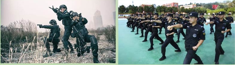 微信截图_20240514175131.png