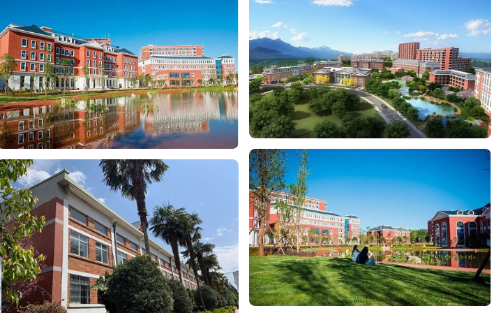 图片1(85).png