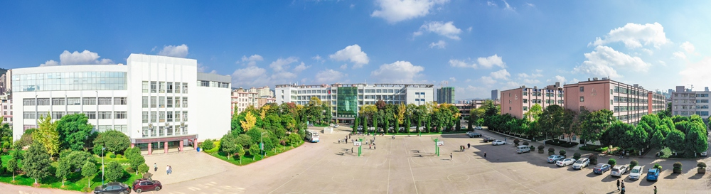 图片43 (2).png