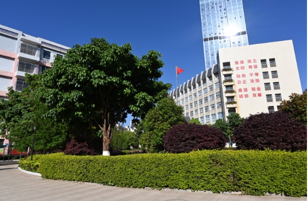 微信截图_20240530171247.png