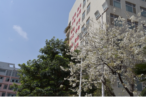 微信截图_20240530171146.png
