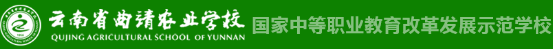 5ff91ef35e216.png