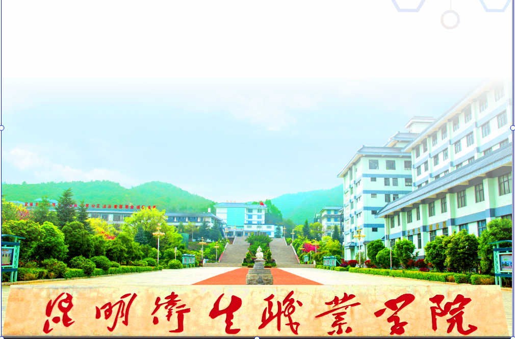 主视图.png