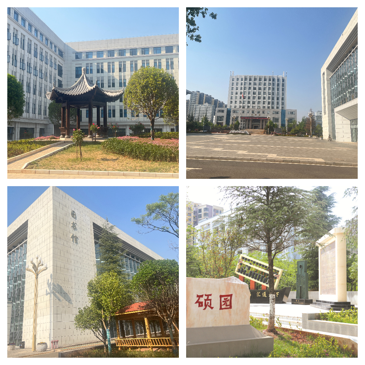下载 (5).jpg