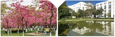 1773905649304235.png 1773905649304235.png