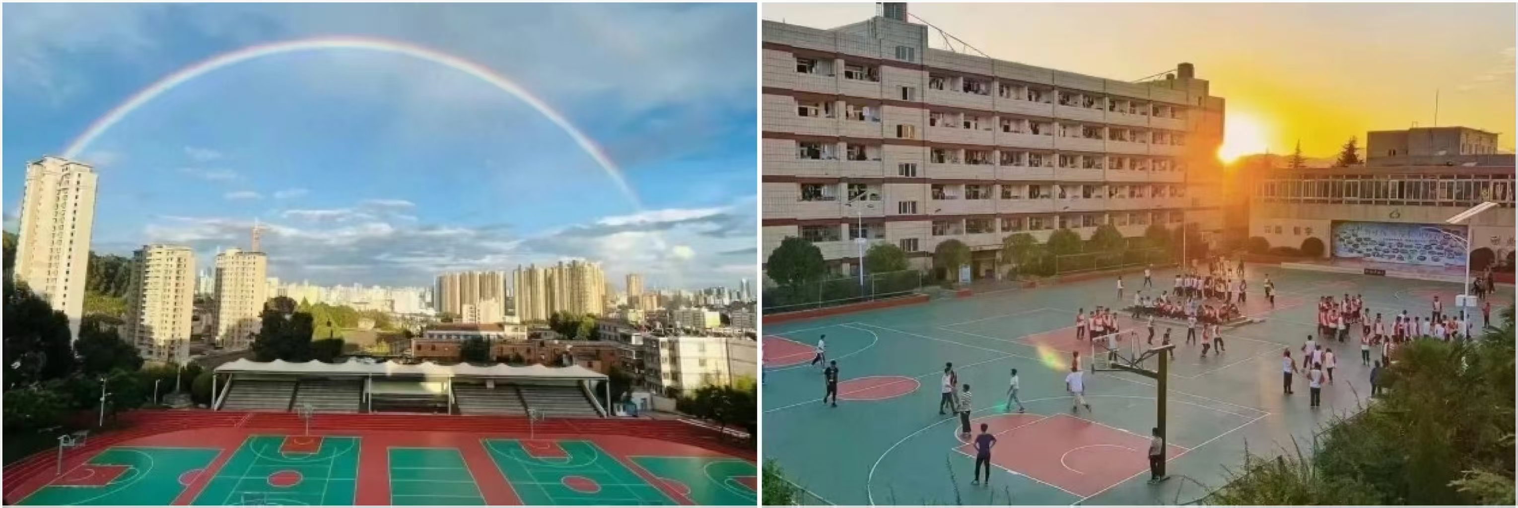 1773998227281940.jpg 1773998227281940.jpg