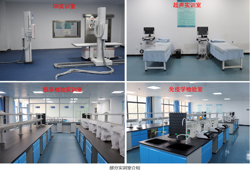 1774602470959919.png 实训3.png