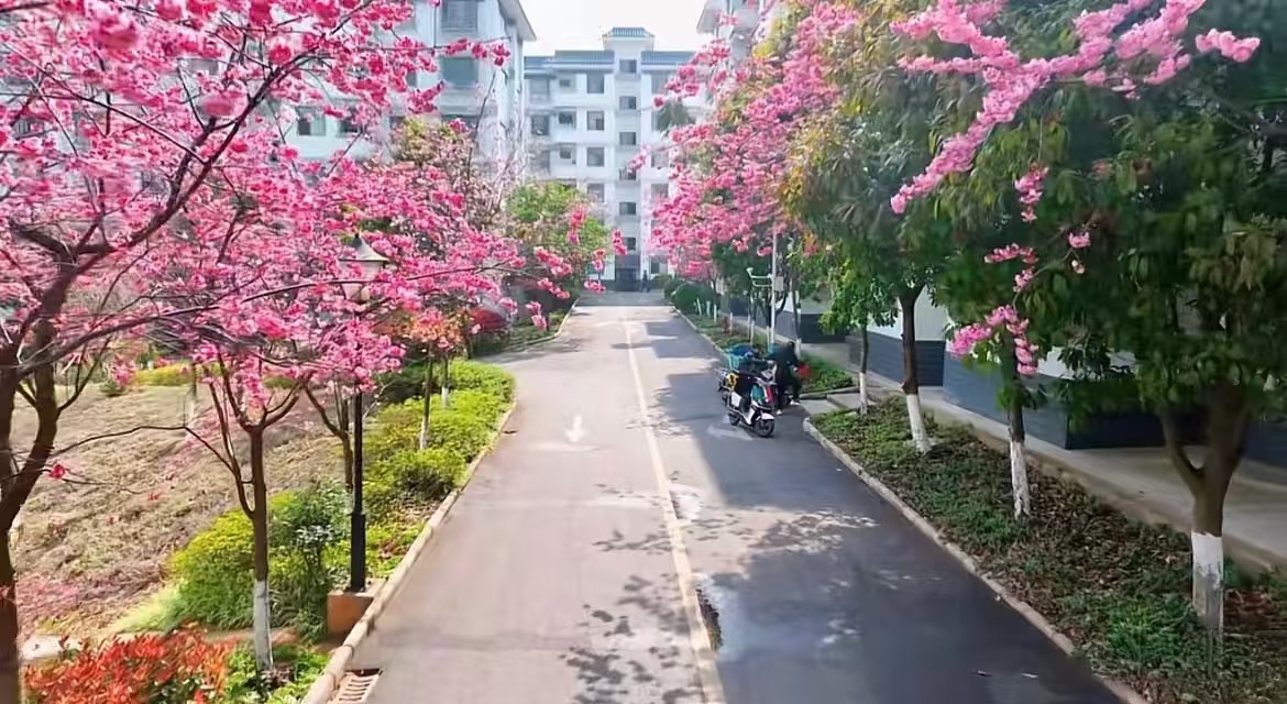 1774926562981578.jpg 1774926562981578.jpg