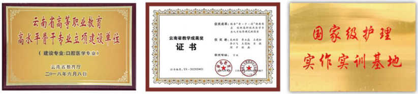 1774928804913268.png 荣誉.png