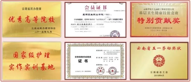 1774948633834860.png 荣誉0.png