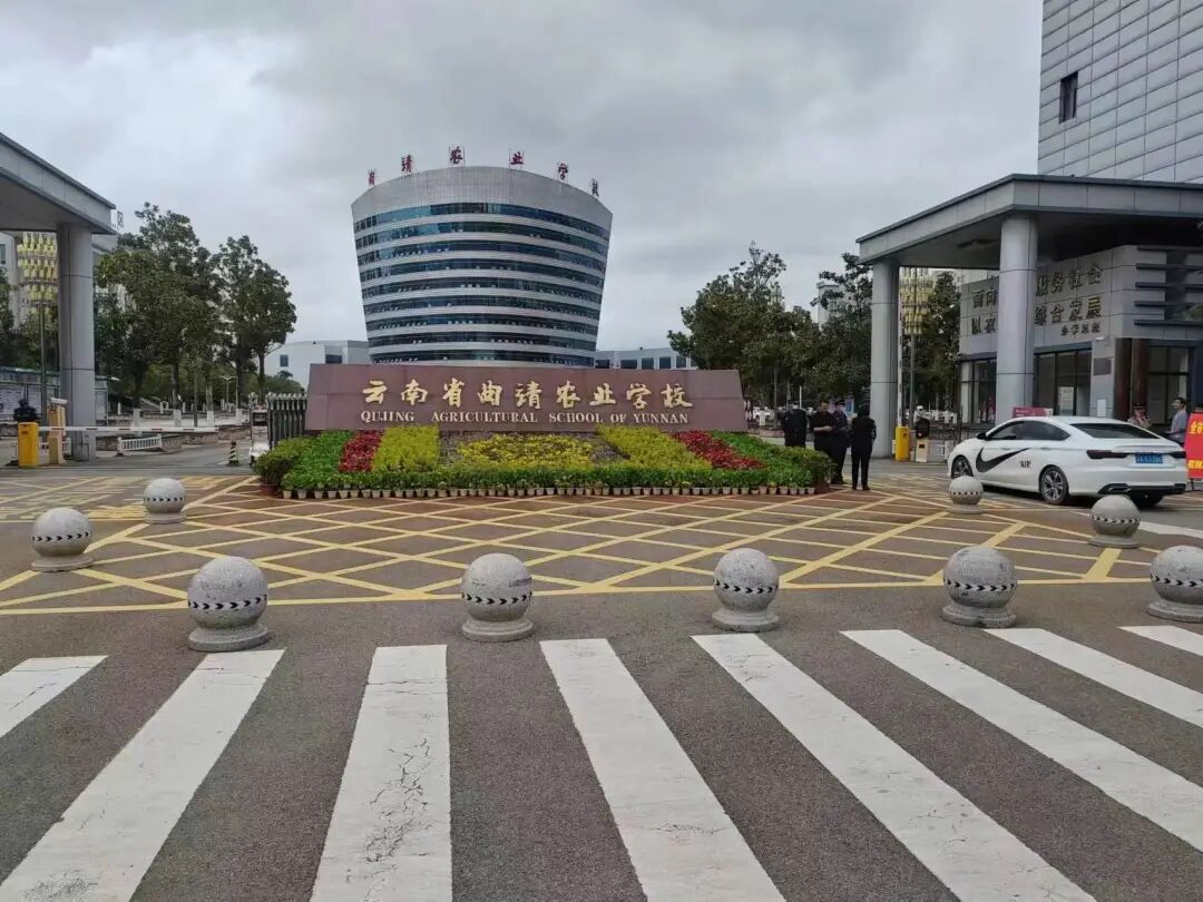 云南省曲靖农业学校2026升学率详解