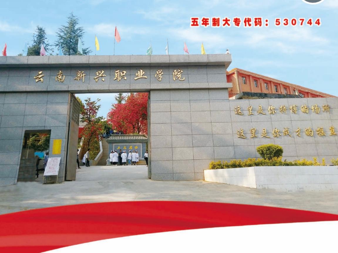 云南新兴职业学院2026录取分数|分数线全面解读