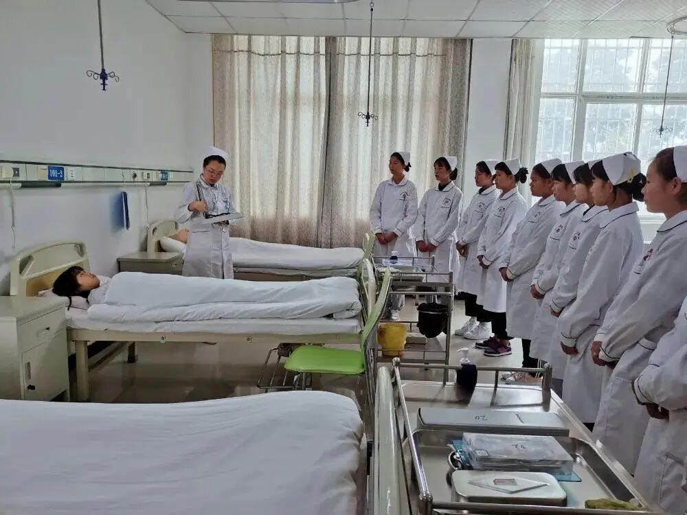 护航医学生成长：文山州卫生学校2026学校管理|管理模式详解