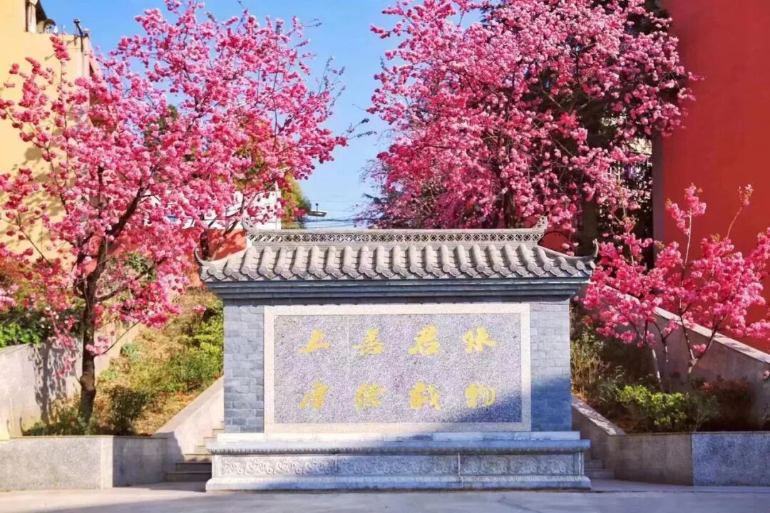 昆明辅仁职教高考学校2026志愿代码全解析