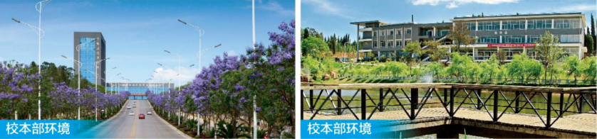 环境1.png