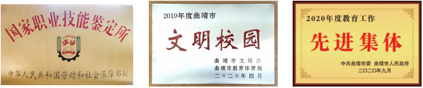 1780025984393830.png 荣誉.png