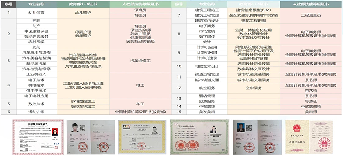 1+X证书.png