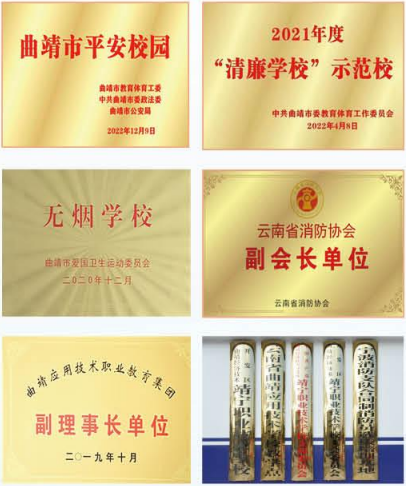 1780295019308172.png 荣誉.png