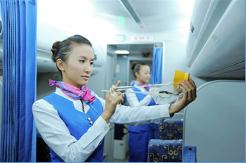 1780631181646580.png 航空服务.png