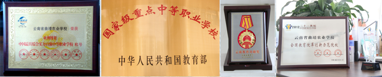 1780899029124336.png 荣誉1.png