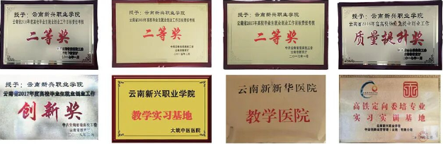 1780899354707361.png 荣誉.png