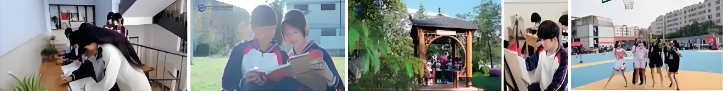 1781236424705435.png 5.png
