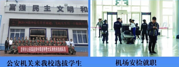1781595053781203.png 就业1.png