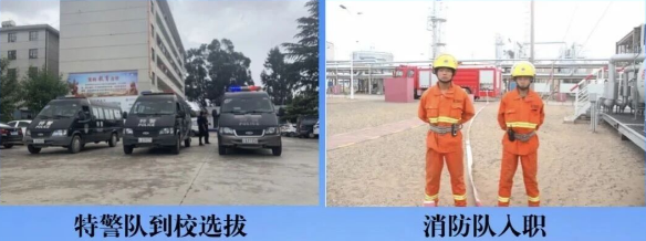 1781667372369157.png 就业2.png