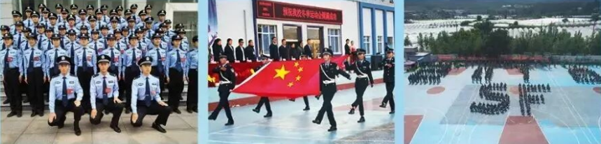 1781668866809386.png 就业5.png