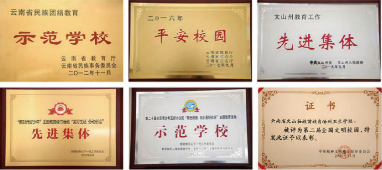 1782099828286609.png 荣誉.png