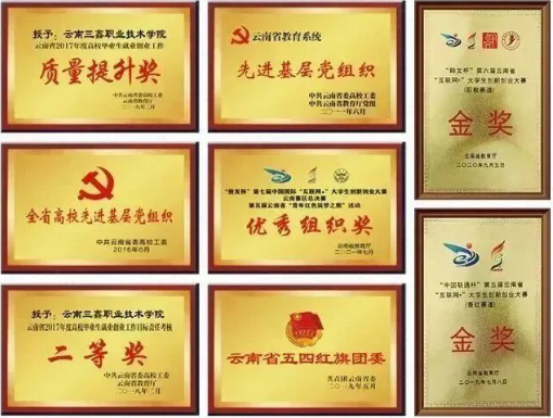 1782197990829303.png 荣誉1.png